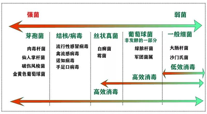房屋消毒產(chǎn)品效果對比