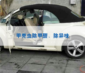 甲殼蟲治理