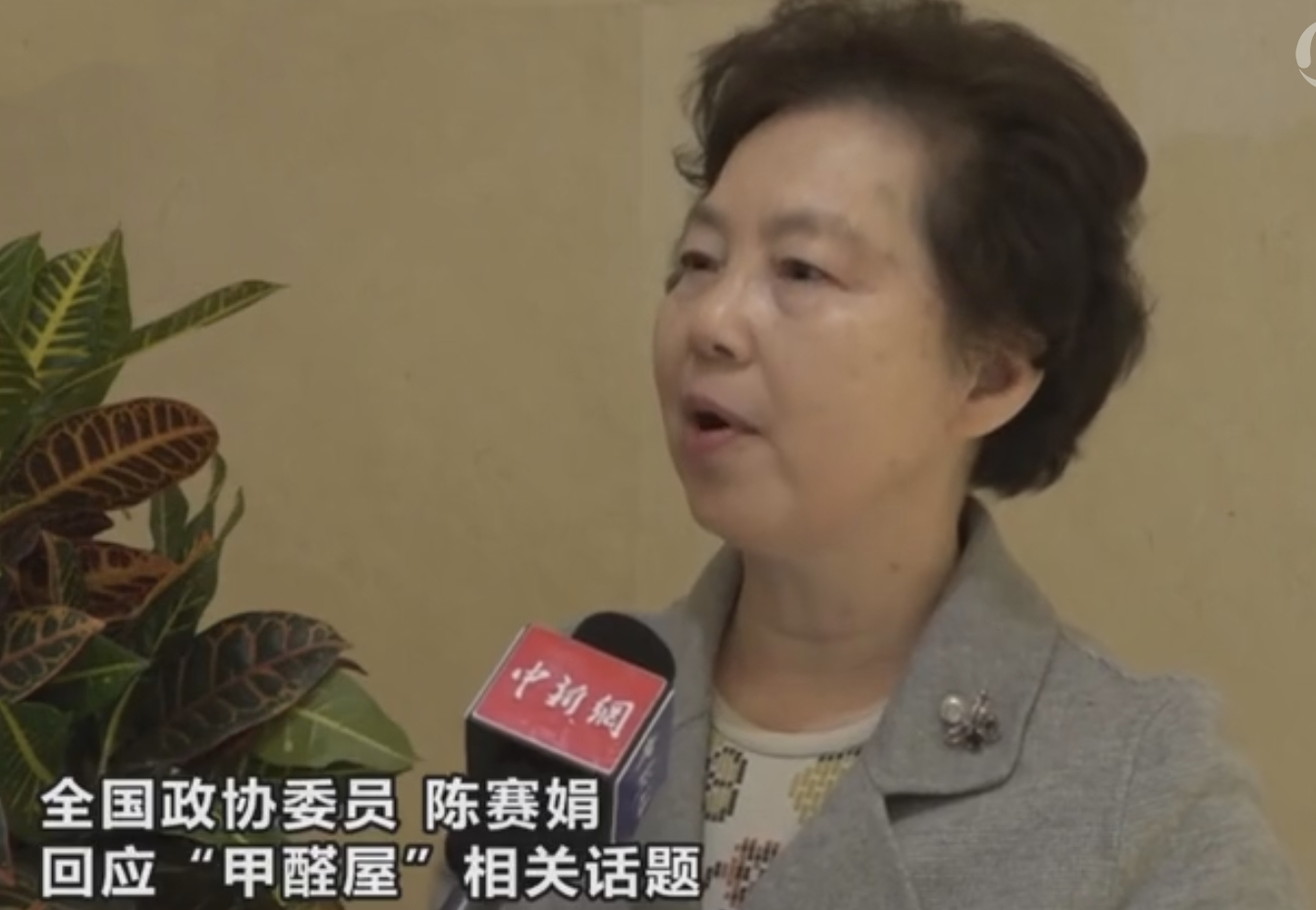 兩會(huì)進(jìn)行時(shí) 全國(guó)政協(xié)委員陳賽娟談甲醛