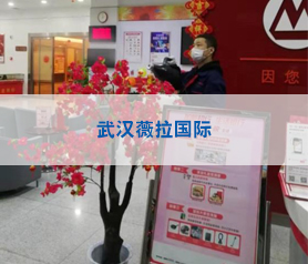 武漢薇拉國際攝影消毒殺菌項(xiàng)目案例